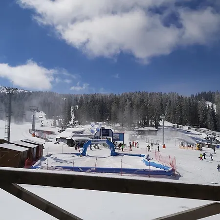 Dragana * コパオニク