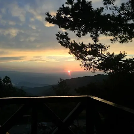 アパート Dragana コパオニク